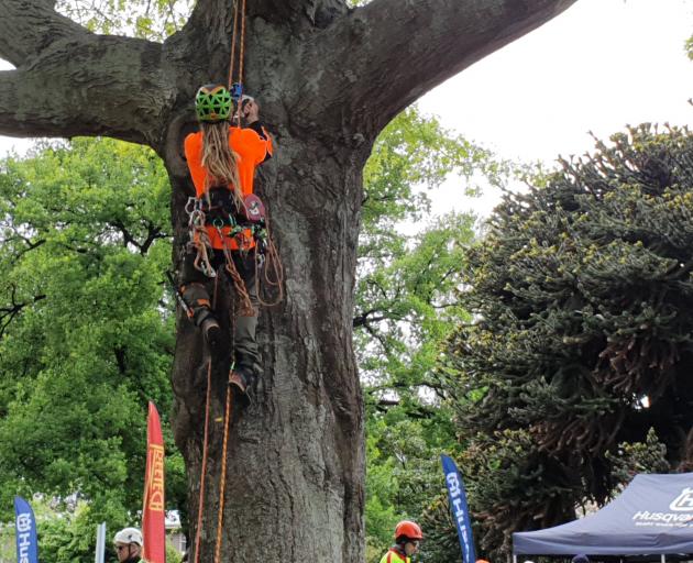 Masters Challenge finalist Sam Smith, of Auckland, scales a tree to reach set points markers at...