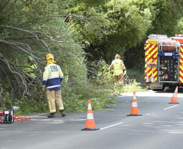 Firefighters were quick to remove a fallen tree that blocked one lane of State Highway 88 at...