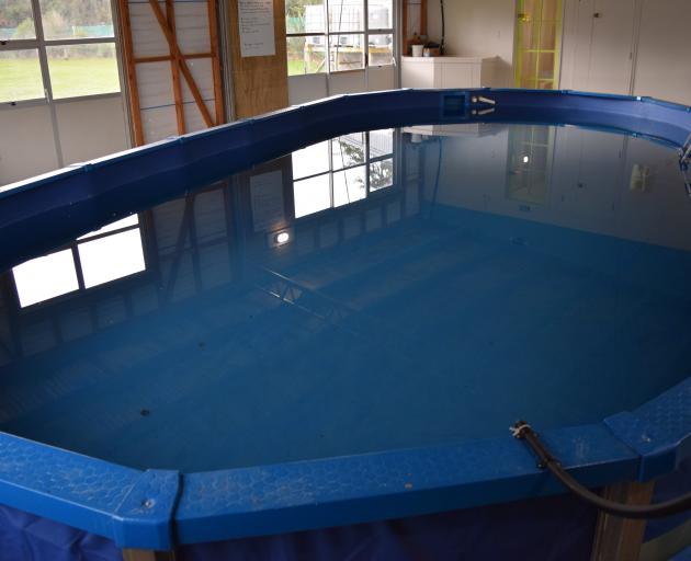 A new pool at Orchard Sun Club in Sutton. PHOTO: SHAWN MCAVINUE