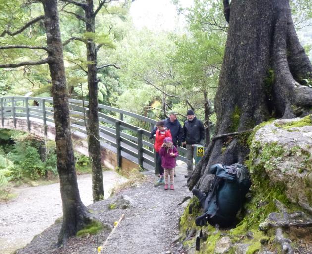 The gracefully arching Turere Bridge. PHOTO: CLARE FRASER 