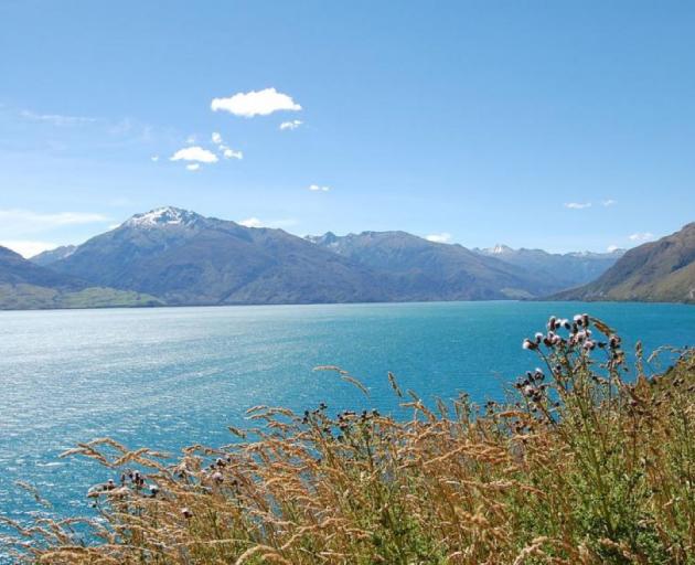 Fishermen first reported algae in Lake Wanaka in the early 2000s.