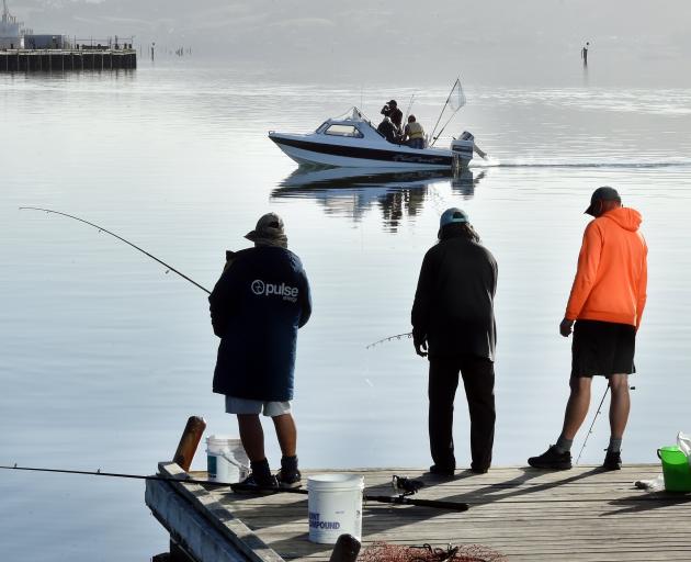 Salmon fishermen try their luck at the Otago Harbour basin earlier this year. PHOTO: STEPHEN...