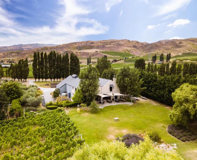 The Carrick vineyard and winery at Bannockburn is for sale. PHOTO: SUPPLIED