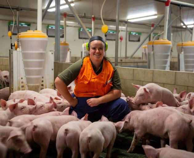 Nicky Tily is junior stockperson on a pig farm near Sheffield. PHOTO: SUPPLIED