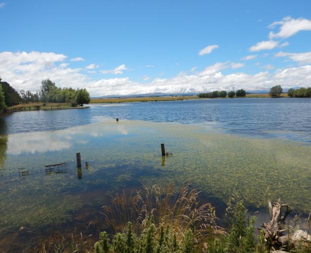 Blakelys Dam with and without the sun. The 2.5kg rainbow trout that almost got away. PHOTOS: MIKE...