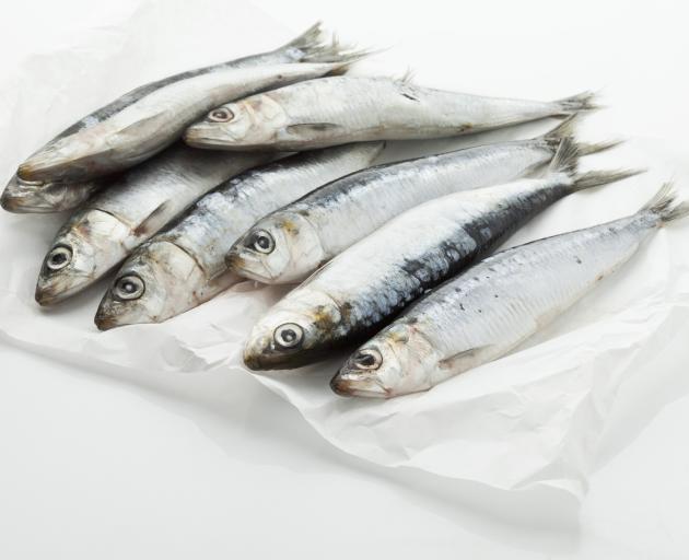 Whitebait and sardines  contain good amounts of calcium per serving.