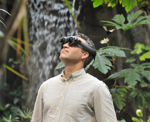 Artist Joseph Michael checks out his augmented reality work in Otago Museum’s Tropical Forest. Mr...