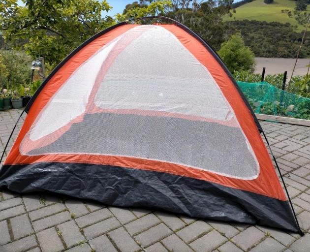 The cloche made from a festival tent by inserting sections from old net curtains. 