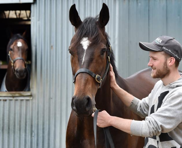 Jacob Lowry and Gallant Boy at White Robe Lodge yesterday. PHOTO: PETER MCINTOSH
