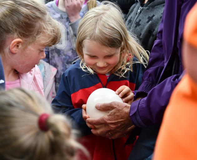 Mia Bruce (6) enjoys the tour at Queens Park, getting to hold an ostrich egg. PHOTO: LAURA SMITH