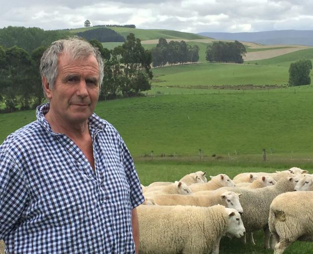 Sheep breeder Garth Shaw, of Wharetoa Genetics. PHOTO: MARY-JO TOHILL

