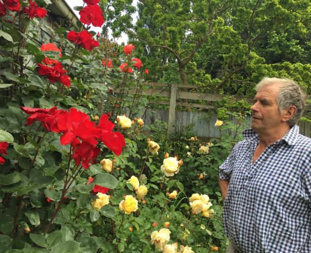 Sheep breeder Garth Shaw in his home garden at Wharetoa, near Balclutha, where he loves to work...