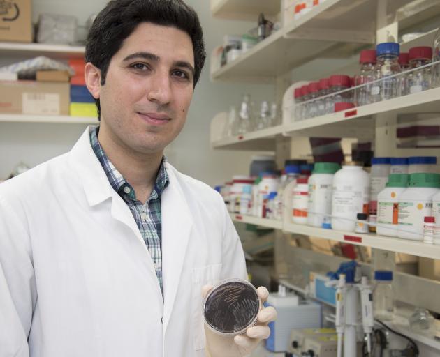 Dr Ali Mohammadi undertakes research at the University of Otago Christchurch campus. PHOTO:...