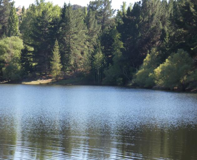 The quiet of Pinders Pond was disturbed by a police search with a sad conclusion on Friday night....