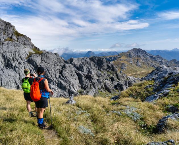 Kahurangi National Park. PHOTO: GETTY IMAGES