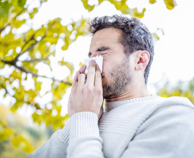 Research shows a large proportion of the population live with asthma and allergies such as hay...