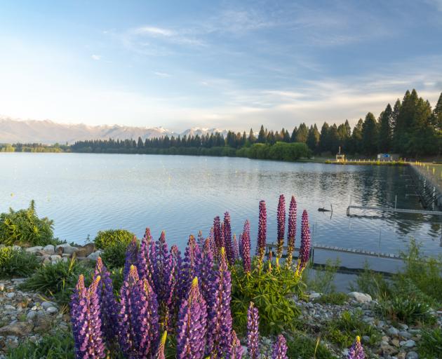Lake Ruataniwha, Twizel. Photo: Getty Images
