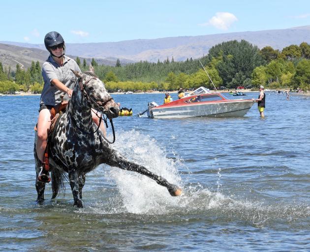 Riding Micah in Lake Dunstan is Jess Murphy, of Waikouaiti.PHOTO: STEPHEN JAQUIERY