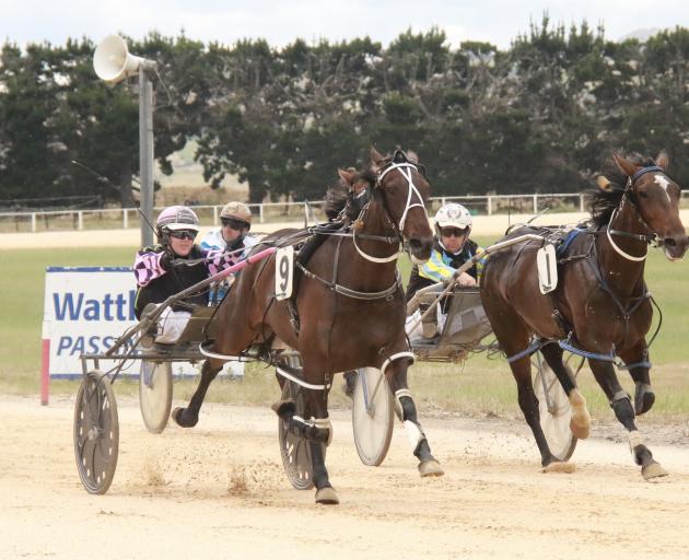 First starter Wattlebank Star (left) holds out Maree Long to win at Roxburgh yesterday. PHOTO:...
