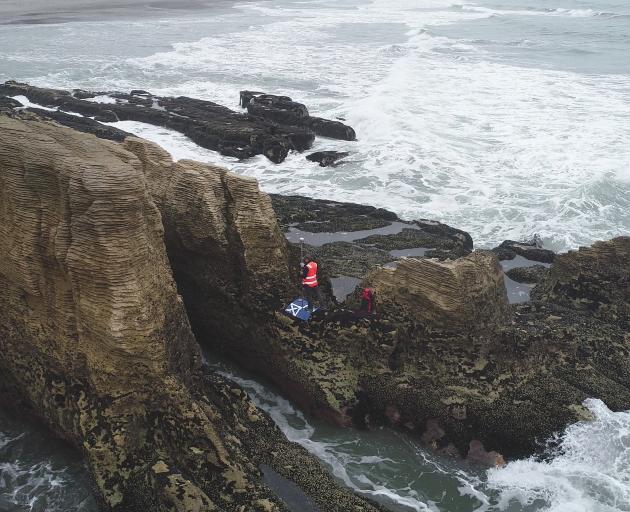  Niwa marine ecologist Leigh Tait surveys the West Coast’s rugged coastline, near Punakaiki....