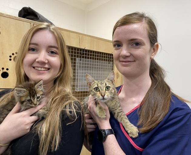 Cat Rescue Dunedin volunteer Maria Angus (left) and intake manager Brenna Gould hold two of the...