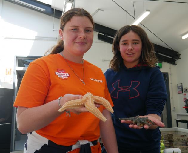 Timaru pupil Nora Quigley (15, left) holds an apricot starfish and Dunedin pupil Emily Potter (14...