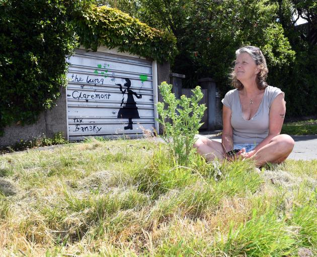 Dunedin resident Stephanie Haworth sits on a grass verge outside her Maori Hill home, which was...