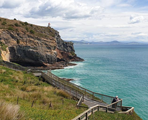 The clifftop viewing area at Taiaroa Head. PHOTOS: CLARE FRASER