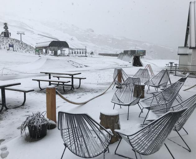 Cardrona Alpine Resort summer staff arrived at work yesterday morning to find 8cm of snow on the...