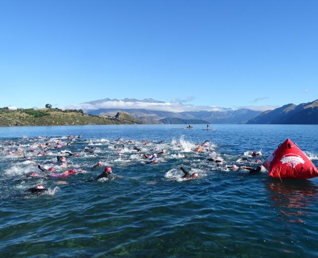 The start of the 2.5km Ruby Swim around Lake Wanaka’s Ruby Island and back on Saturday. PHOTO:...