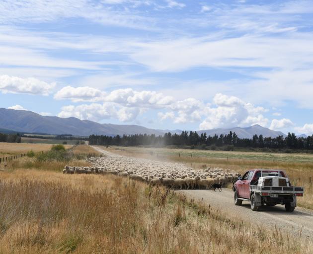 Farming in New Zealand has some challenging years ahead. PHOTO: STEPHEN JAQUIERY