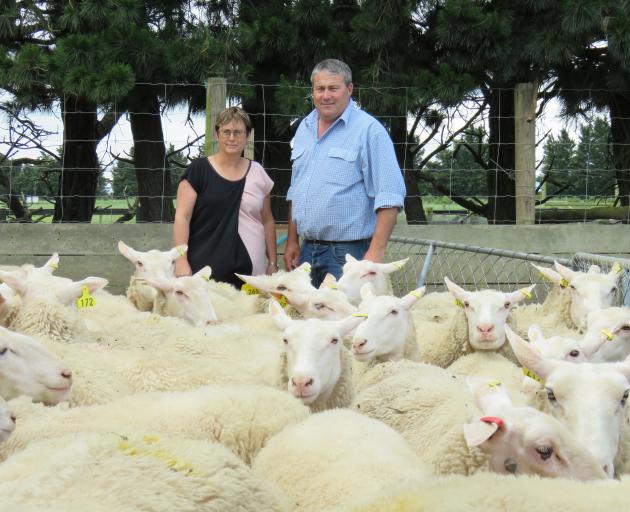 Tracey and Matt Jones say sheep milk is a nutritional powerhouse and the go-to alternative for...