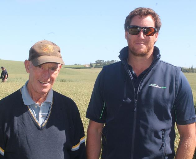 Otama farmer Mike Solari and PGGWrightson’s Nick Hishon inspect an oat field. PHOTO: FIONA ELLIS