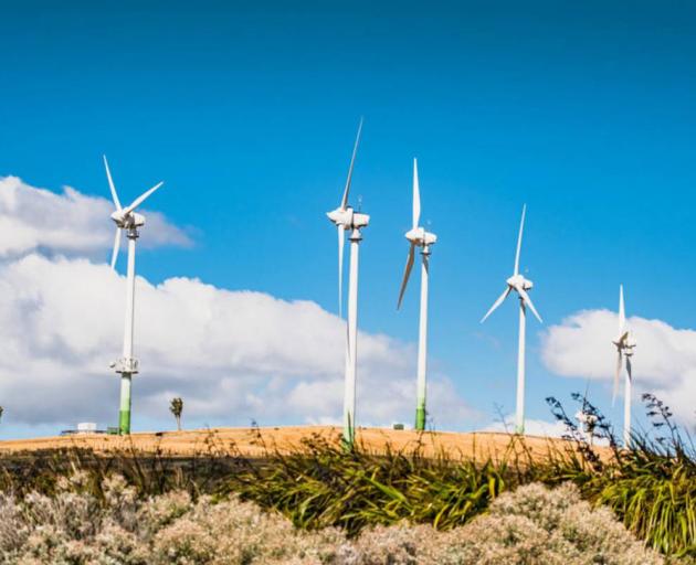 The Hau Nui Wind Farm near Martinborough. Photo: NZ Herald The Hau Nui Wind Farm near Martinborough. Photo: NZ Herald