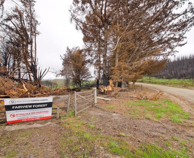 A blaze in a pine forestry block near Livingstone in October last year burnt through 611ha....