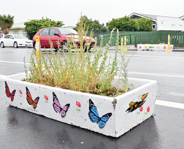 Mosgiel residents are calling for planter boxes, installed as part of the Mosgiel-Taieri Safer...
