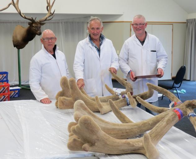 Judges consider the merits of entries in the recent New Zealand Elk and Wapiti Society’s...