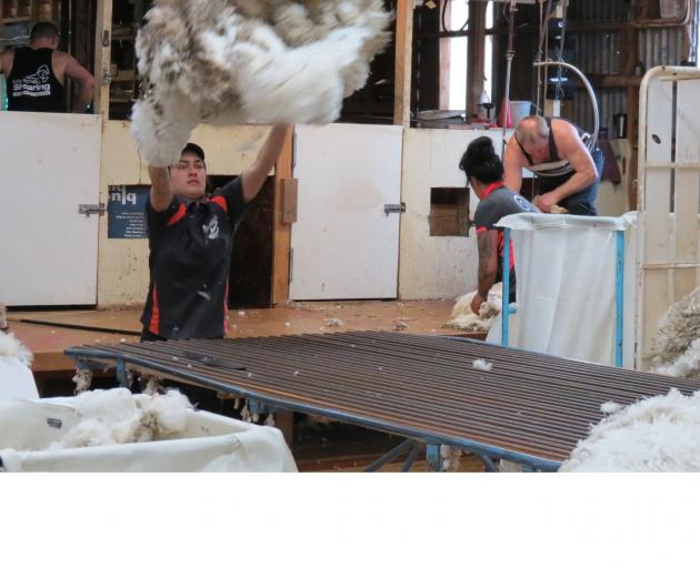 Woolhandlers are in short supply at the moment, but some southern contractors are employing the...