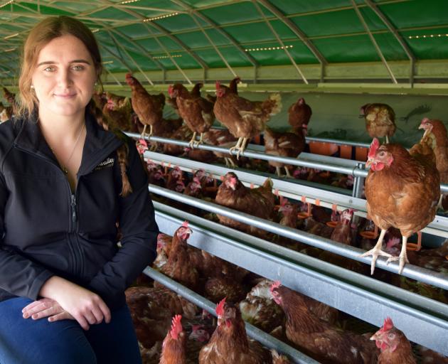 Bowalley Free Range marketing and brand manager Anna Craig (20) relaxes with a flock of hens on...