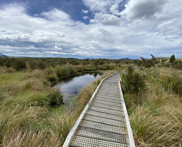 Boardwalks extend through open water sections of Sinclair Wetlands, ensuring workers and the...