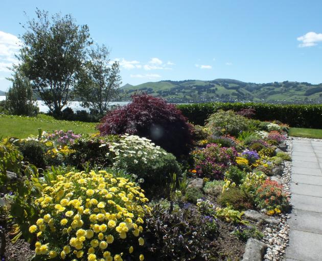 Rosalind Gibson’s packed rockery has great impact from the house.