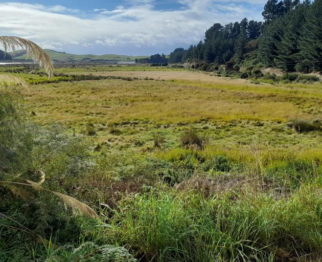 Enhanced planting will soon take place at these wetlands near Toko Mouth, thanks to funding...