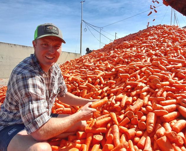 Daniel Lovett with carrots freshly harvested at Lovett Family Farms and destined for a New...