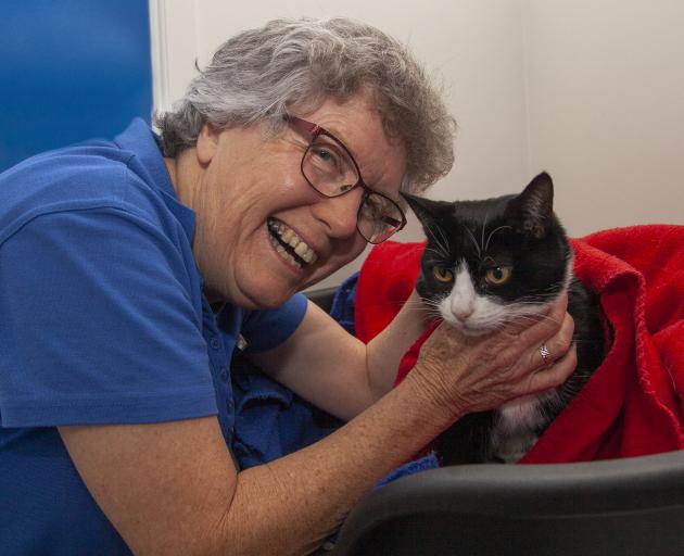 Joyce Latham with a female cat named 'Lizzie' who needs a new home.  Photo: Geoff Sloan