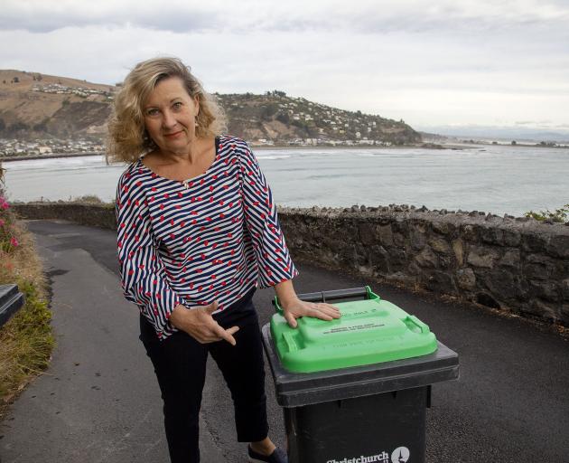 Sumner Residents’ Association deputy chairwoman Liza Sparrow. Photo: Geoff Sloan