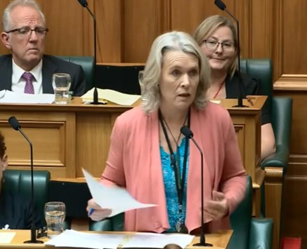 Taieri Labour MP Ingrid Leary speaks in Parliament on Thursday. PHOTO: PARLIAMENT TV