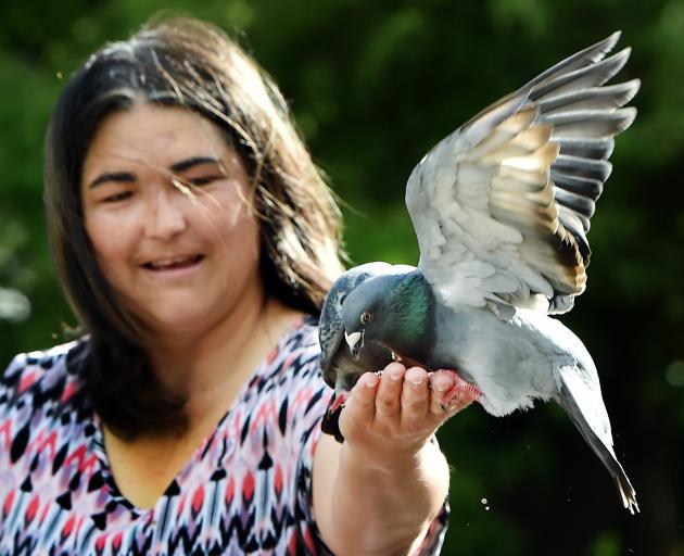 Yolande Steenkamp, of Dunedin, feeds pigeons at the Dunedin Botanic Garden this week. PHOTOS:...