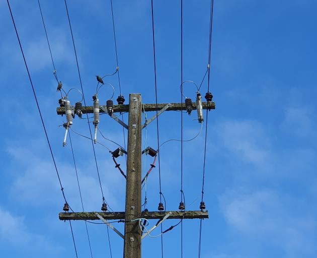 Two birds have been identified as the culprits responsible for causing a power outage in Te Anau...