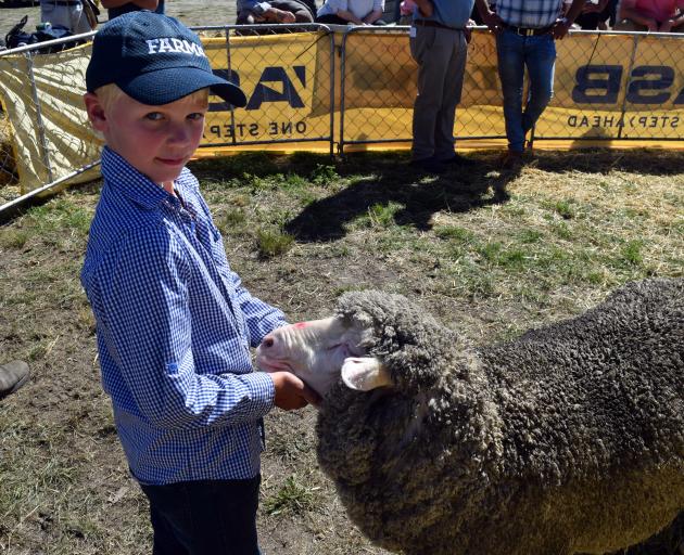 Hugo Paterson (8), of Armidale Merino Stud, in the Maniototo, holds a ewe for judging at the...