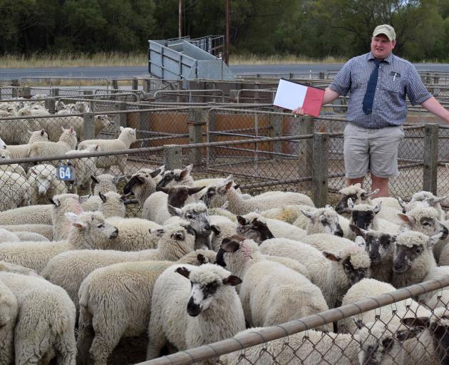 PGG Wrightson agent Russell Maloney auctions a flock of lambs, owned by Aramoana farmer Brian...